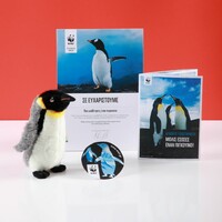 Πακέτο Υιοθεσίας